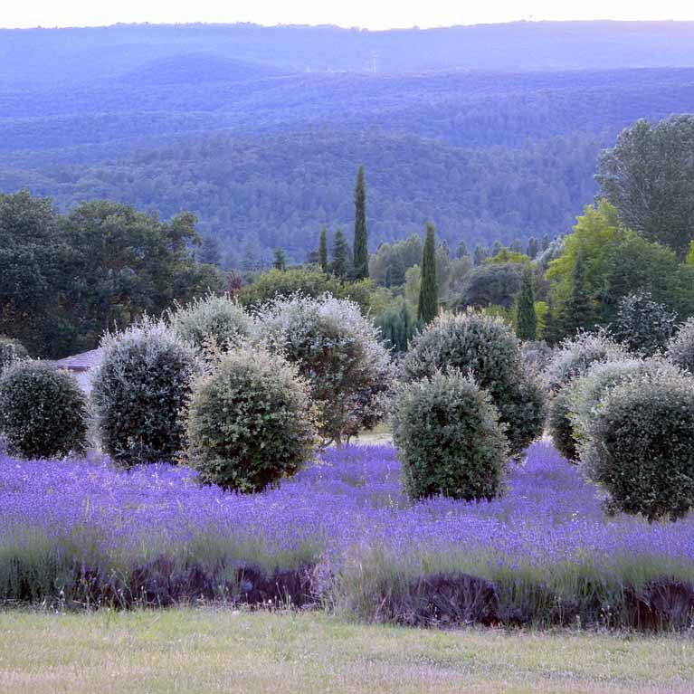 Camping Drôme